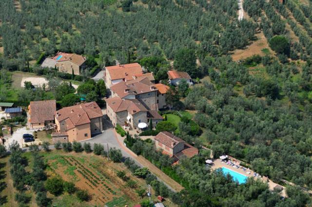 Podere Jana Antico Frantoio Vinci Eksteriør bilde